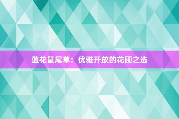蓝花鼠尾草：优雅开放的花圃之选